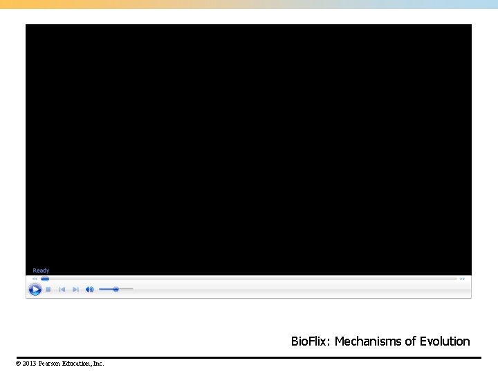 Bio. Flix: Mechanisms of Evolution © 2013 Pearson Education, Inc. 