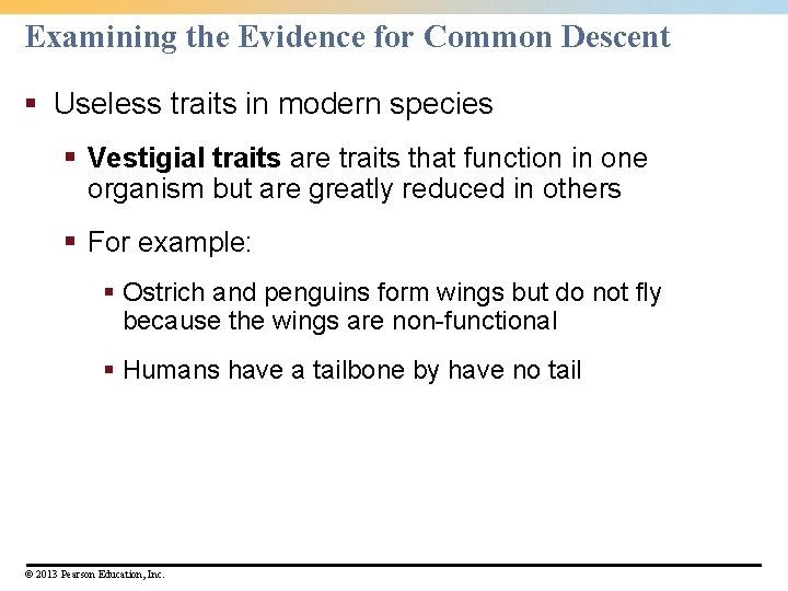Examining the Evidence for Common Descent § Useless traits in modern species § Vestigial