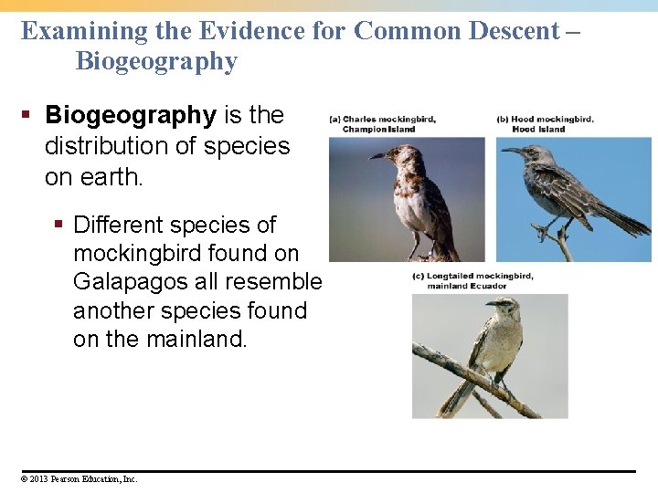 Examining the Evidence for Common Descent – Biogeography § Biogeography is the distribution of