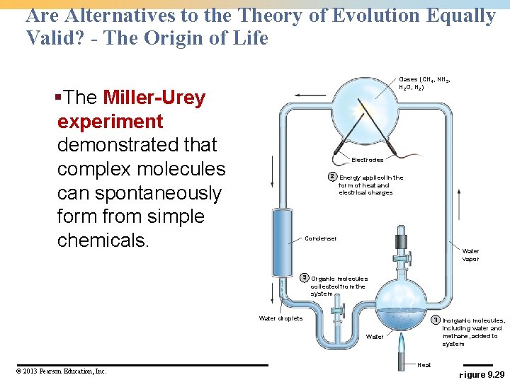 Are Alternatives to the Theory of Evolution Equally Valid? - The Origin of Life