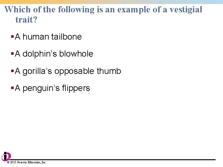 Which of the following is an example of a vestigial trait? §A human tailbone