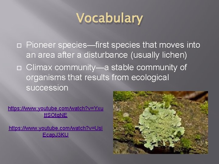 Vocabulary Pioneer species—first species that moves into an area after a disturbance (usually lichen)