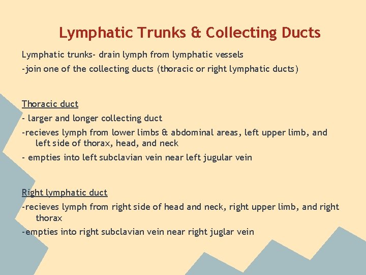 Lymphatic Trunks & Collecting Ducts Lymphatic trunks- drain lymph from lymphatic vessels -join one Lymphatic Trunks & Collecting Ducts Lymphatic trunks- drain lymph from lymphatic vessels -join one