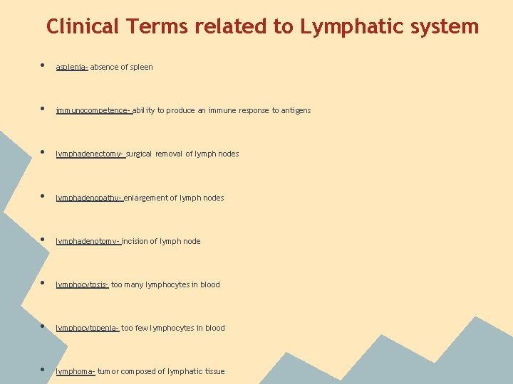 Clinical Terms related to Lymphatic system • asplenia- absence of spleen • immunocompetence- ability Clinical Terms related to Lymphatic system • asplenia- absence of spleen • immunocompetence- ability