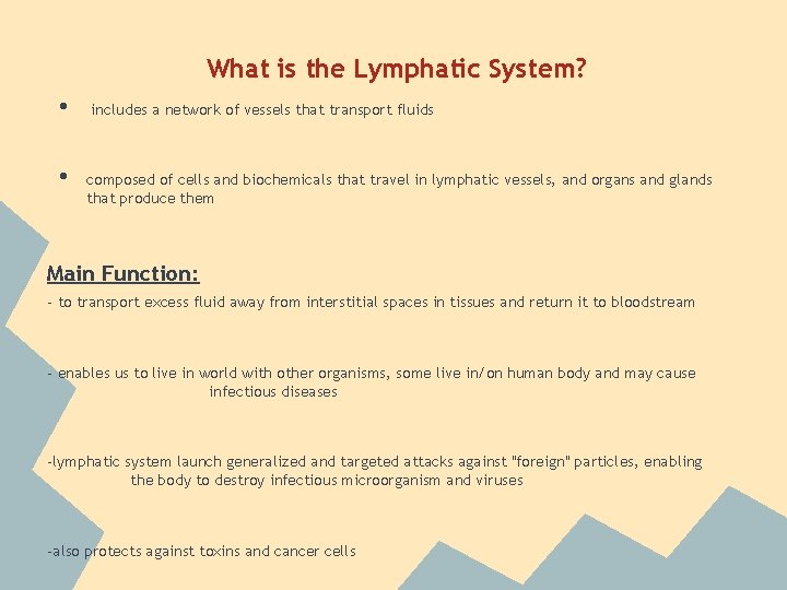 What is the Lymphatic System? • • includes a network of vessels that transport