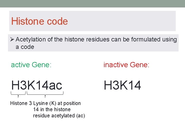 Histone code Ø Acetylation of the histone residues can be formulated using a code