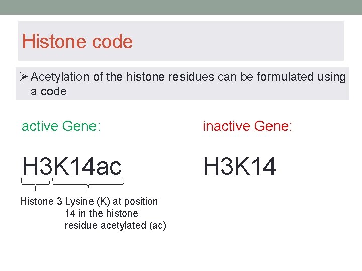 Histone code Ø Acetylation of the histone residues can be formulated using a code Histone code Ø Acetylation of the histone residues can be formulated using a code