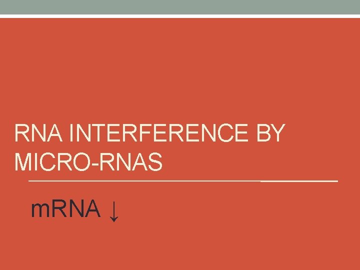 RNA INTERFERENCE BY MICRO-RNAS m. RNA ↓ 