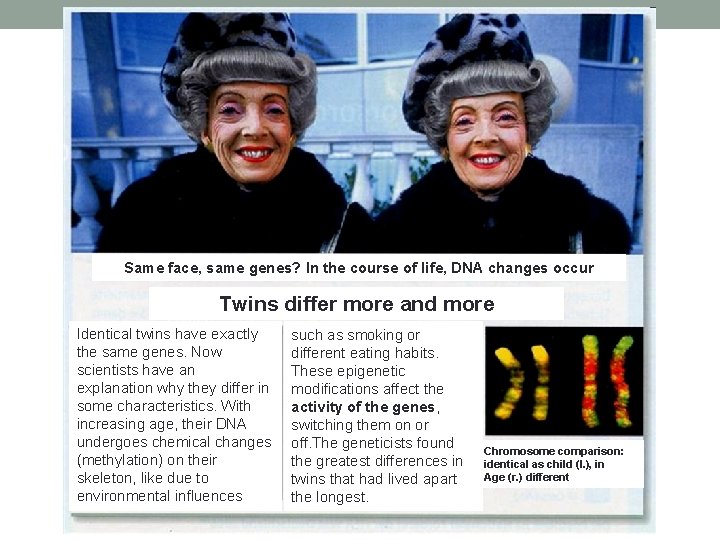 Same face, same genes? In the course of life, DNA changes occur Twins differ Same face, same genes? In the course of life, DNA changes occur Twins differ