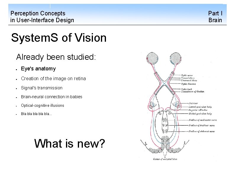 Perception Concepts in User-Interface Design System. S of Vision Already been studied: Eye's anatomy