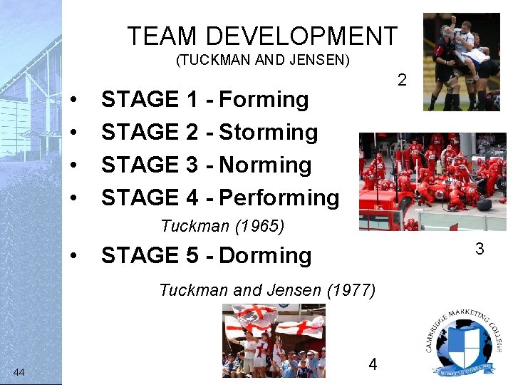 TEAM DEVELOPMENT (TUCKMAN AND JENSEN) • • 2 STAGE 1 - Forming STAGE 2