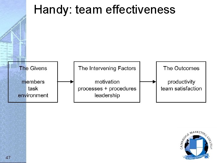 Handy: team effectiveness 47 