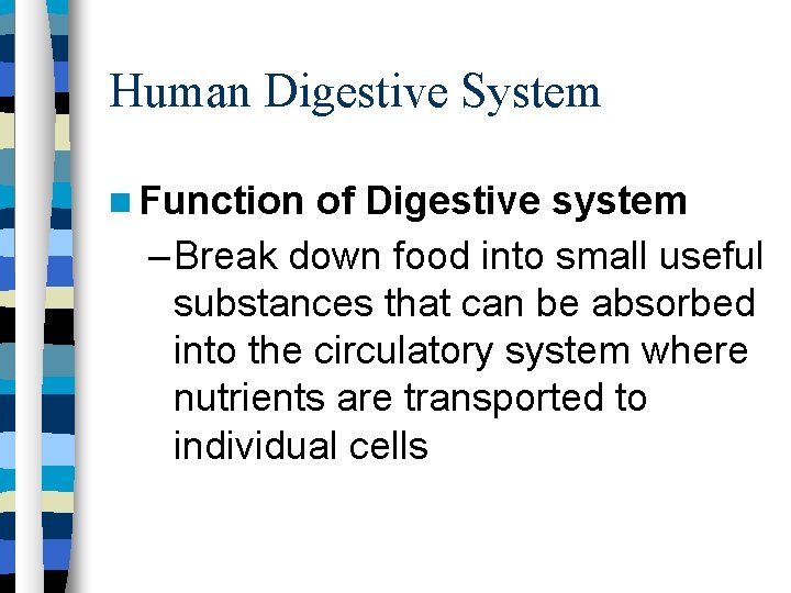 Human Digestive System Function of Digestive system – Break down food into small useful