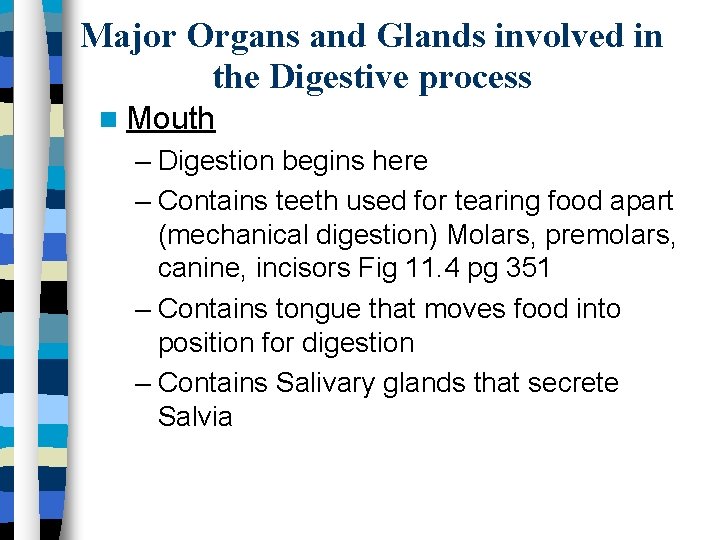 Major Organs and Glands involved in the Digestive process Mouth – Digestion begins here