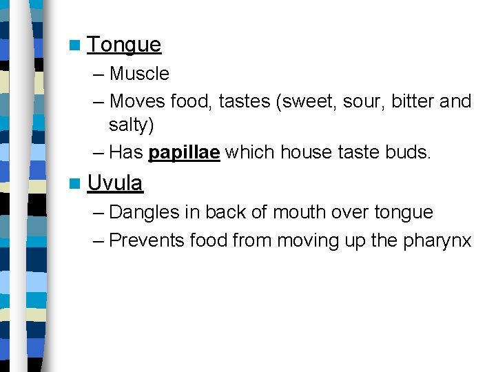  Tongue – Muscle – Moves food, tastes (sweet, sour, bitter and salty) –