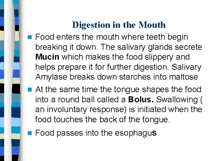 Digestion in the Mouth Food enters the mouth where teeth begin breaking it down.