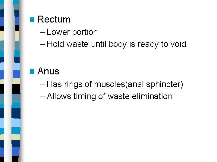  Rectum – Lower portion – Hold waste until body is ready to void.