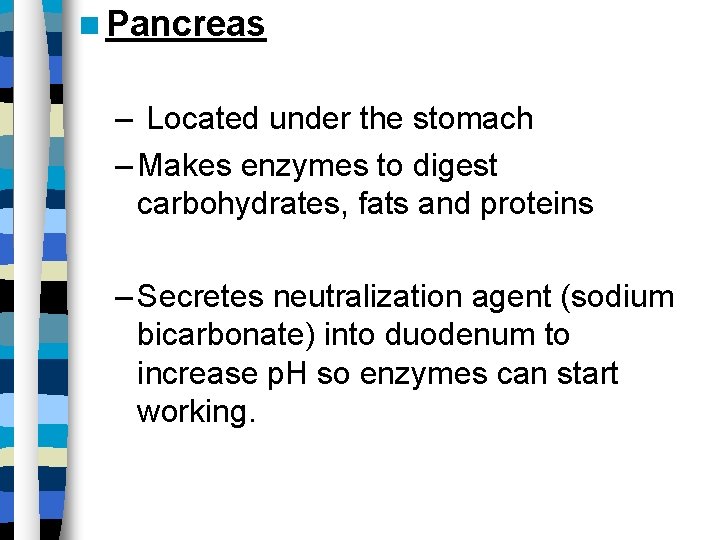  Pancreas – Located under the stomach – Makes enzymes to digest carbohydrates, fats