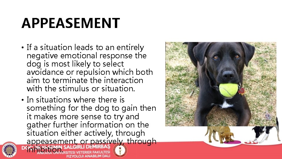 APPEASEMENT • If a situation leads to an entirely negative emotional response the dog