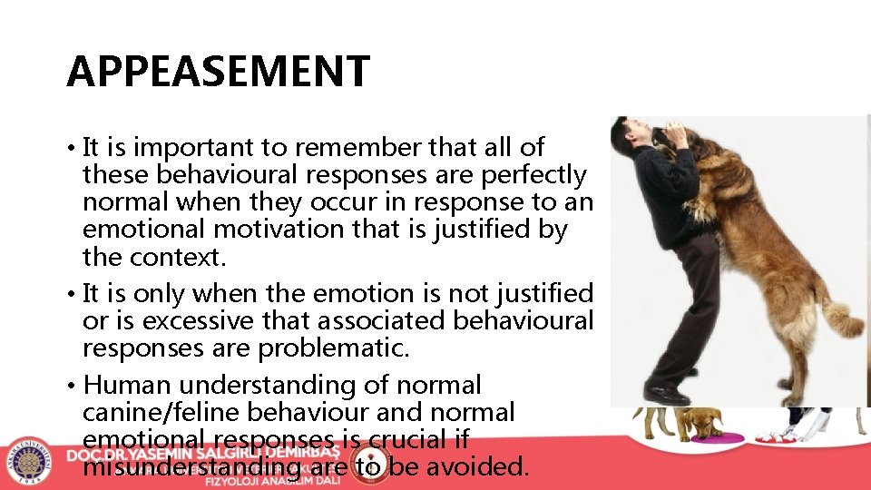 APPEASEMENT • It is important to remember that all of these behavioural responses are
