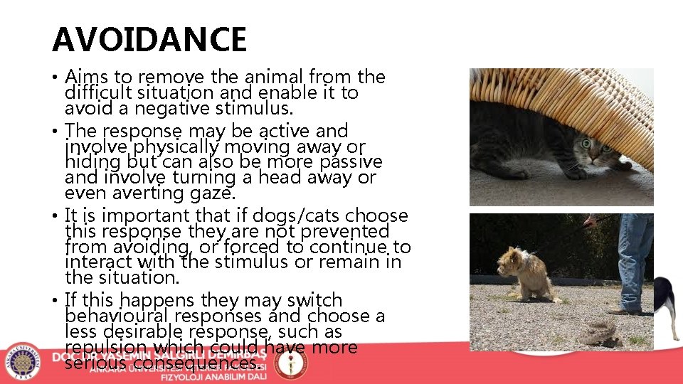 AVOIDANCE • Aims to remove the animal from the difficult situation and enable it