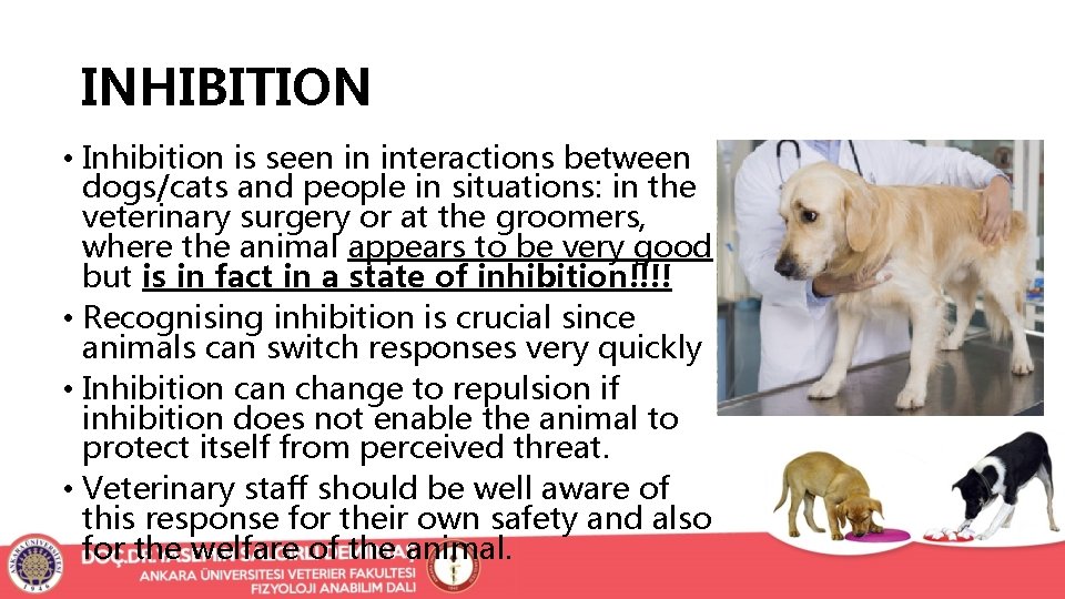 INHIBITION • Inhibition is seen in interactions between dogs/cats and people in situations: in