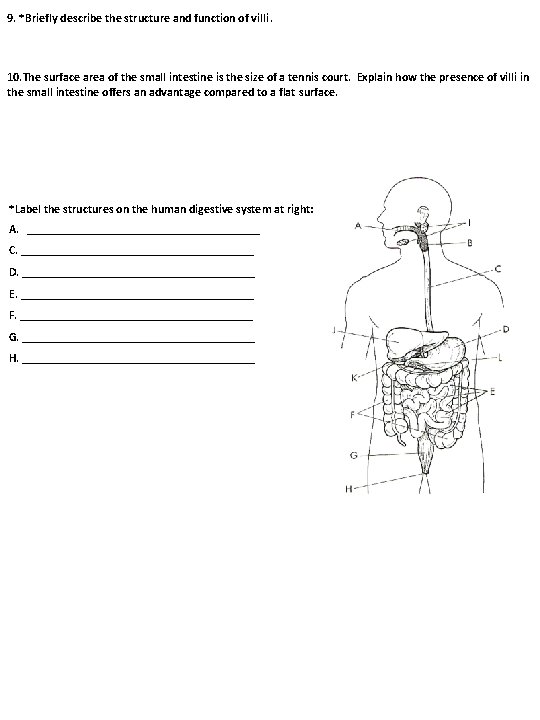 9. *Briefly describe the structure and function of villi. 10. The surface area of