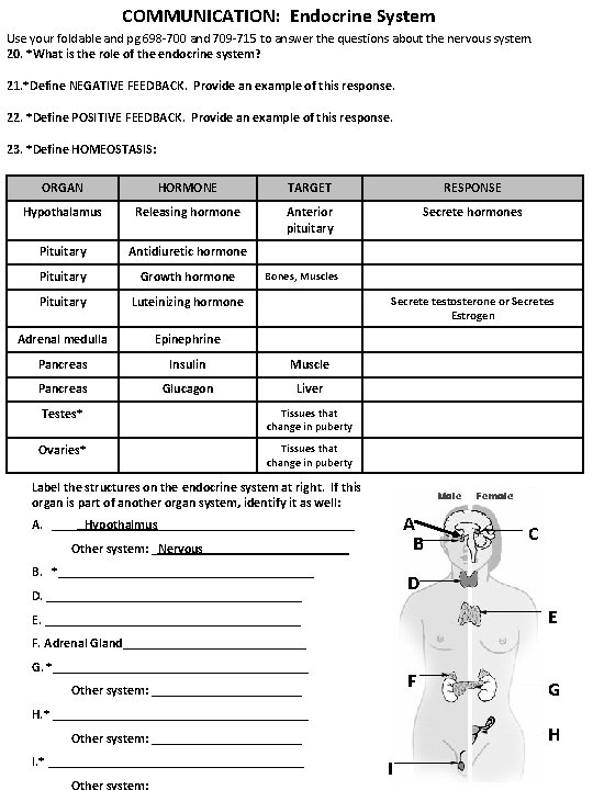 COMMUNICATION: Endocrine System Use your foldable and pg 698 -700 and 709 -715 to