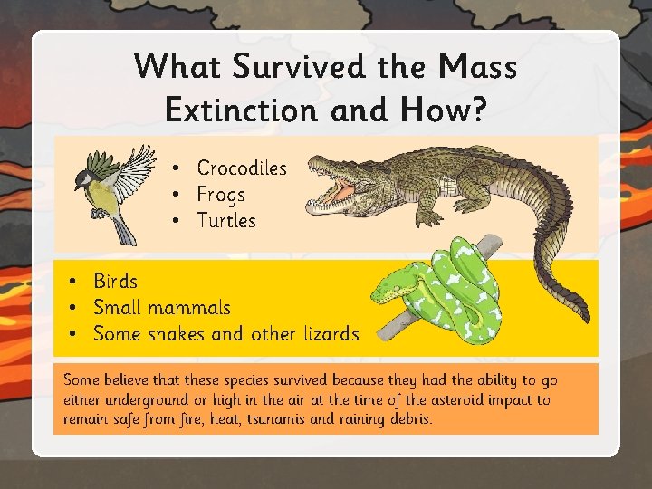 What Survived the Mass Extinction and How? • Crocodiles • Frogs • Turtles •