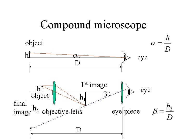 Compound microscope object D h h object eye 1 st image h final h