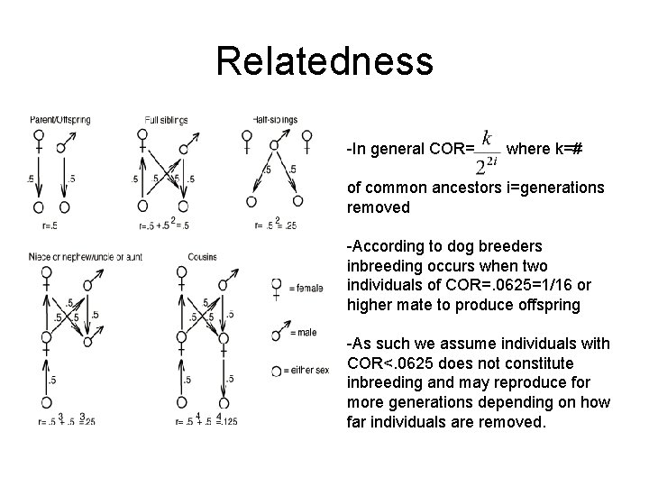 Relatedness -In general COR= where k=# of common ancestors i=generations removed -According to dog