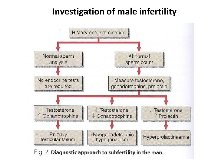 Investigation of male infertility 