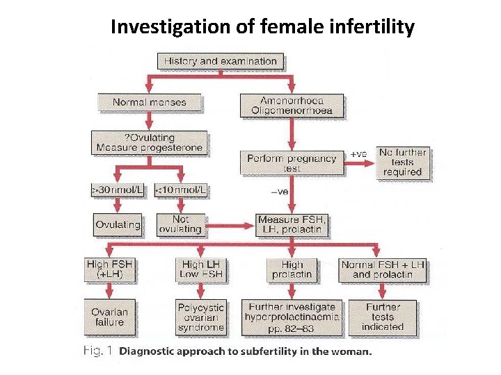 Investigation of female infertility 