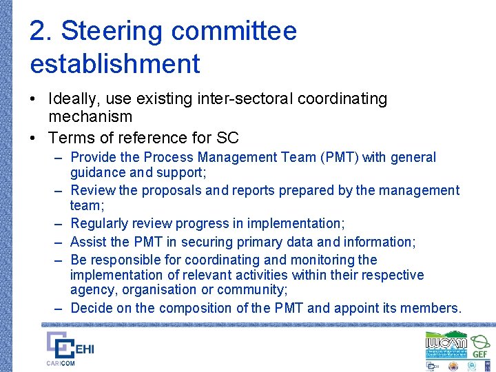 2. Steering committee establishment • Ideally, use existing inter-sectoral coordinating mechanism • Terms of