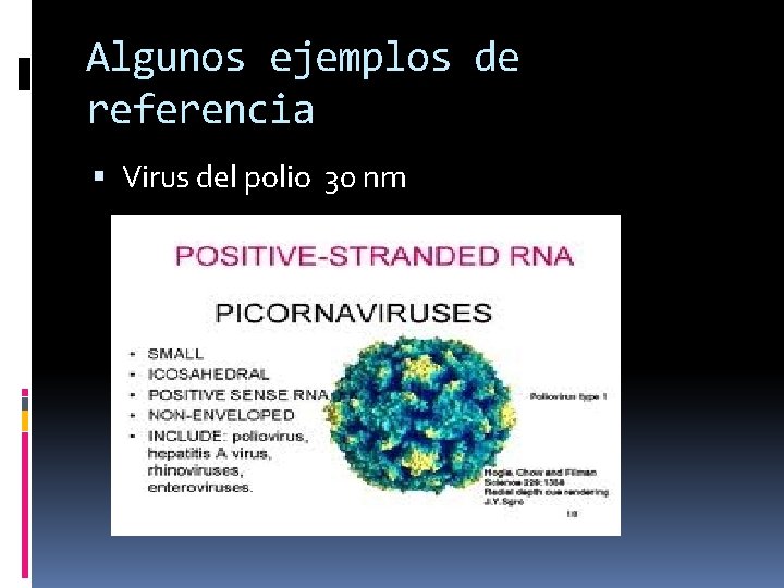 Algunos ejemplos de referencia Virus del polio 30 nm 