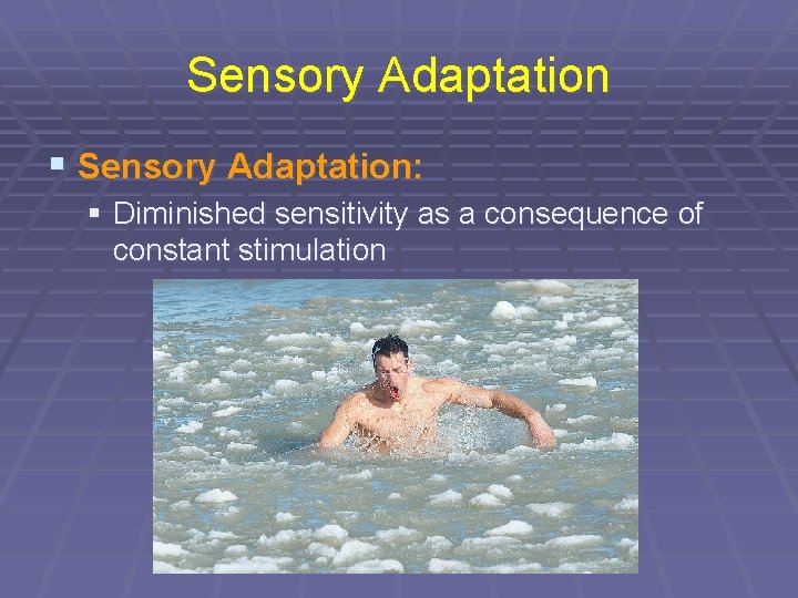 Sensory Adaptation § Sensory Adaptation: § Diminished sensitivity as a consequence of constant stimulation
