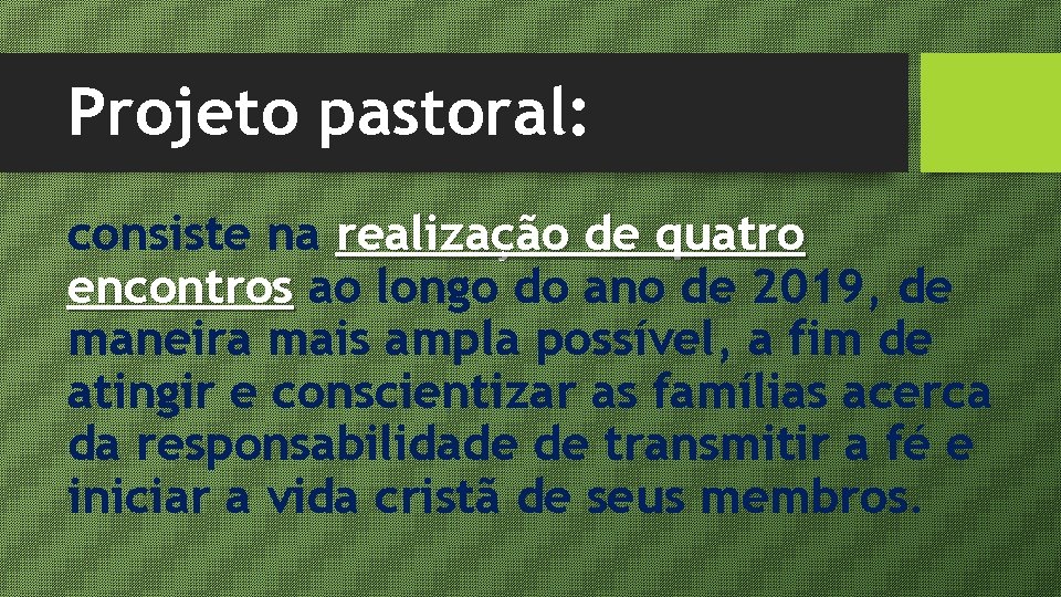 Projeto pastoral: consiste na realização de quatro encontros ao longo do ano de 2019,