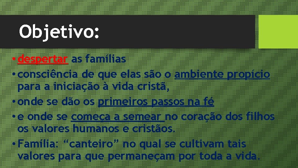 Objetivo: • despertar as famílias • consciência de que elas são o ambiente propício