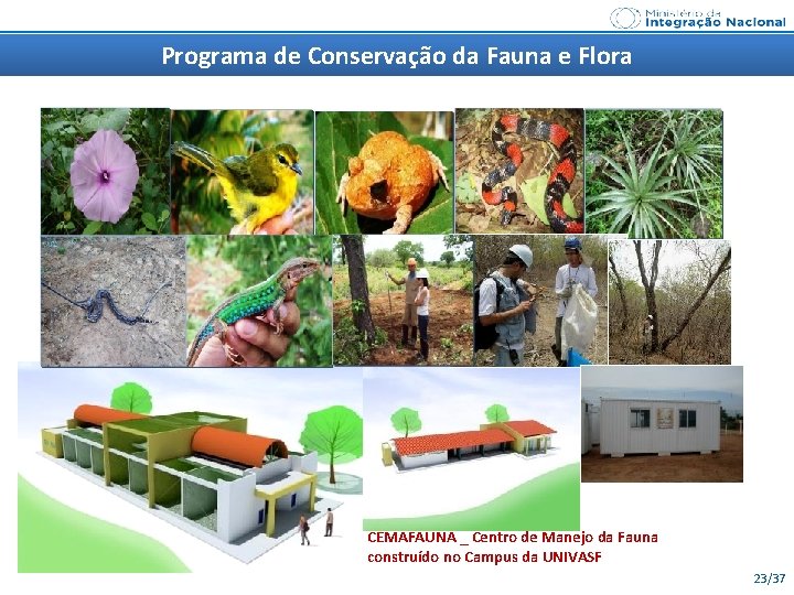 Programa de Conservação da Fauna e Flora CEMAFAUNA _ Centro de Manejo da Fauna
