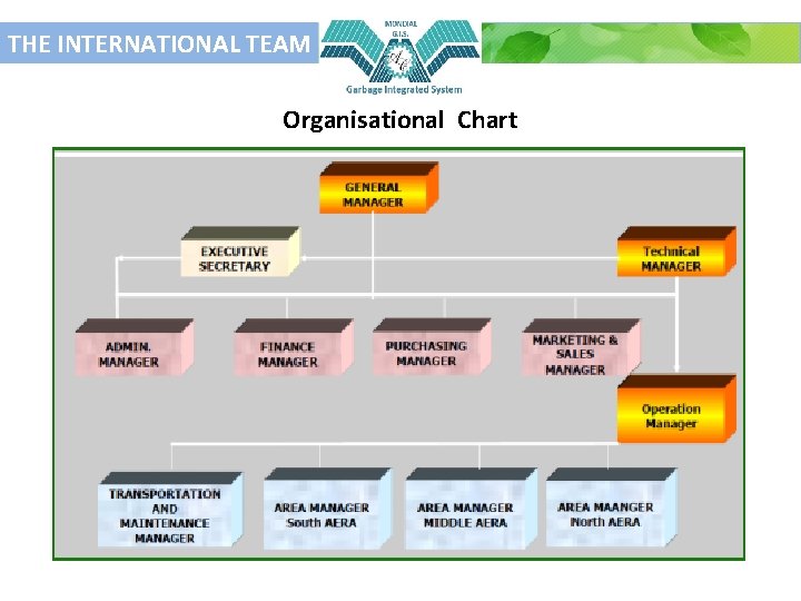 THE INTERNATIONAL TEAM Organisational Chart 