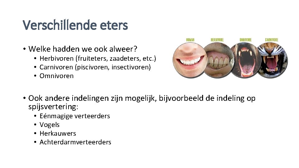 Verschillende eters • Welke hadden we ook alweer? • Herbivoren (fruiteters, zaadeters, etc. )