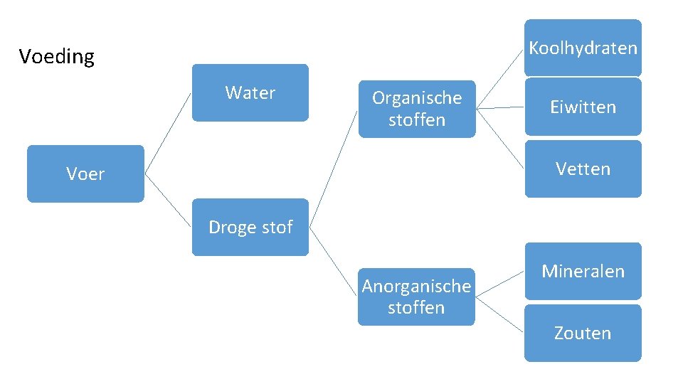 Koolhydraten Voeding Water Organische stoffen Eiwitten Vetten Voer Droge stof Anorganische stoffen Mineralen Zouten