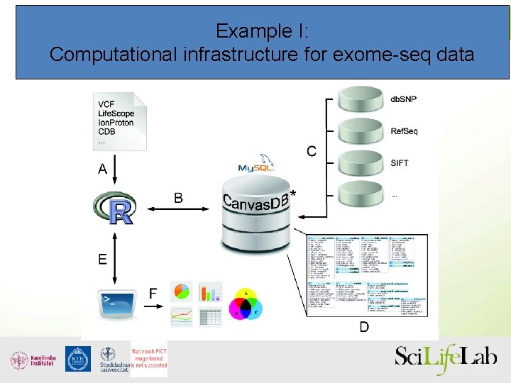 Example I: Computational infrastructure for exome-seq data * 