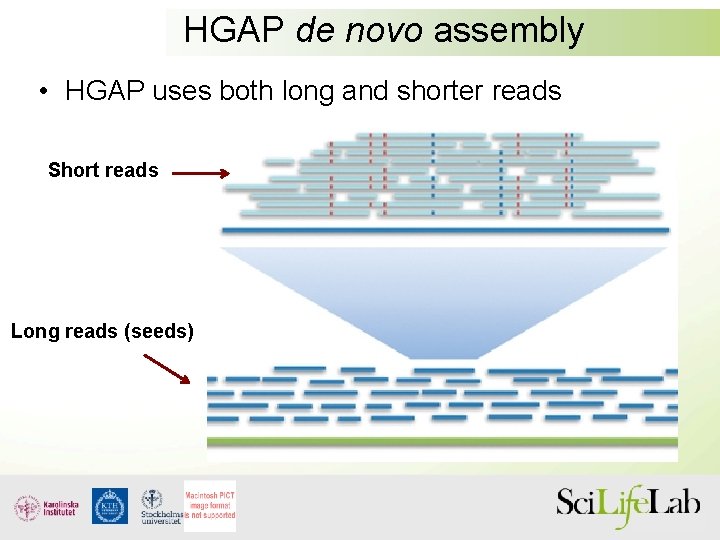 HGAP de novo assembly • HGAP uses both long and shorter reads Short reads