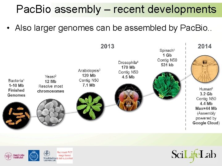 Pac. Bio assembly – recent developments • Also larger genomes can be assembled by