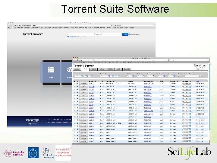 Torrent Suite Software 