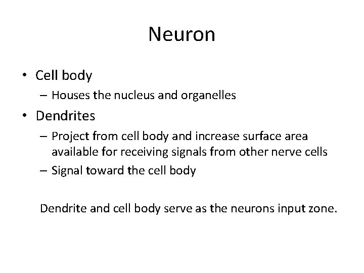 Neuron • Cell body – Houses the nucleus and organelles • Dendrites – Project