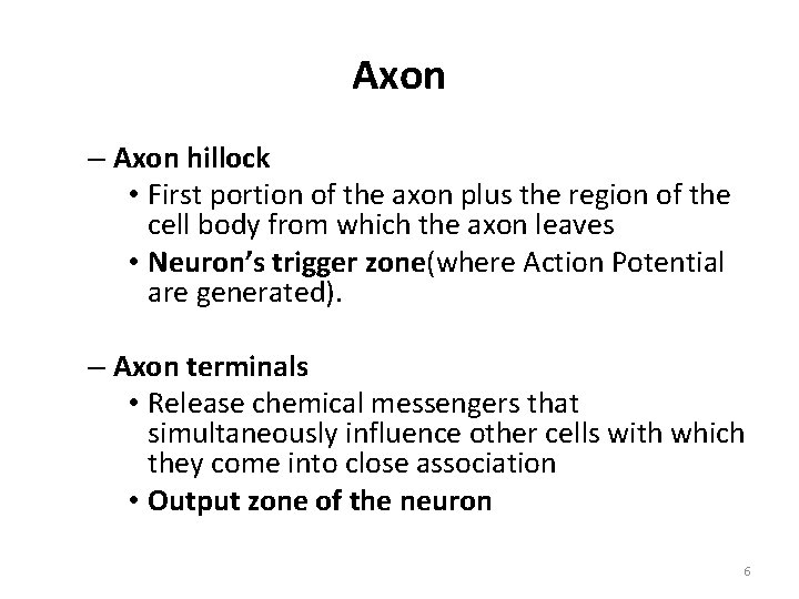 Axon – Axon hillock • First portion of the axon plus the region of