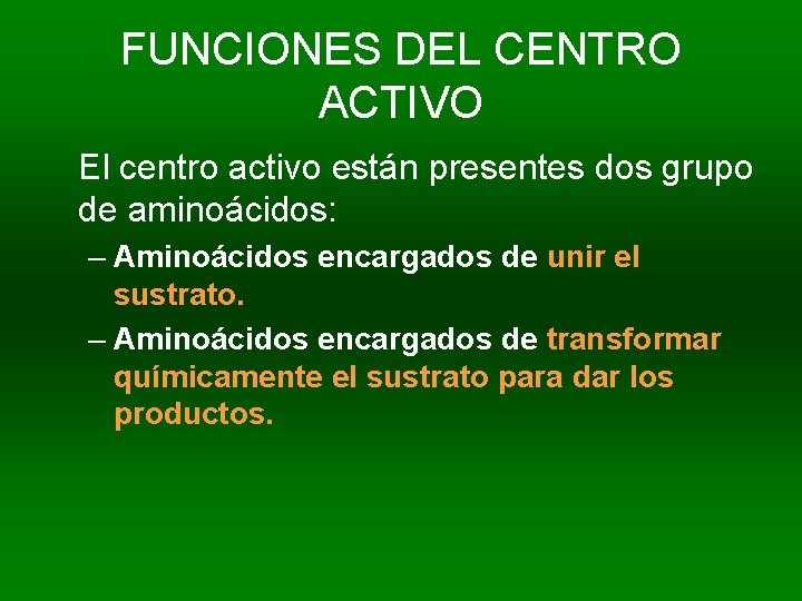 FUNCIONES DEL CENTRO ACTIVO El centro activo están presentes dos grupo de aminoácidos: –