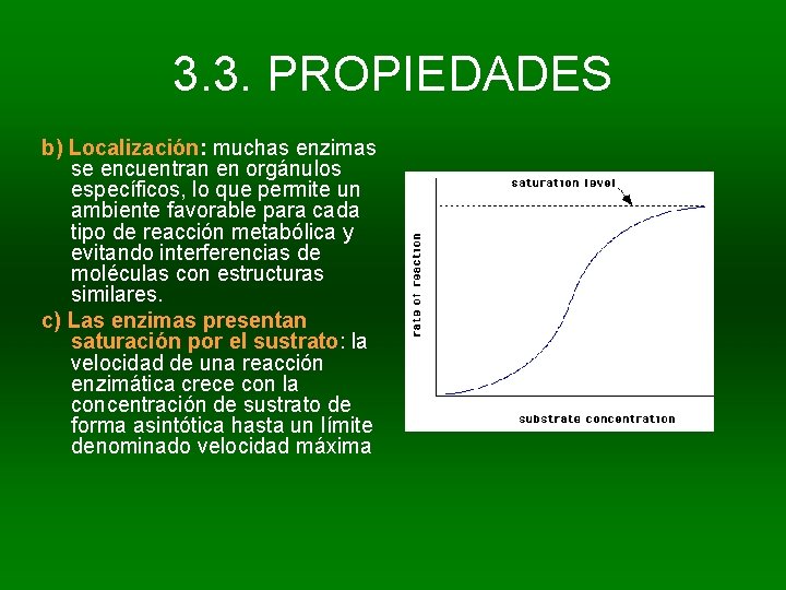 3. 3. PROPIEDADES b) Localización: muchas enzimas se encuentran en orgánulos específicos, lo que